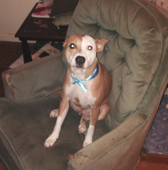 Meet your Posher, Tina - Picture 1 of 1